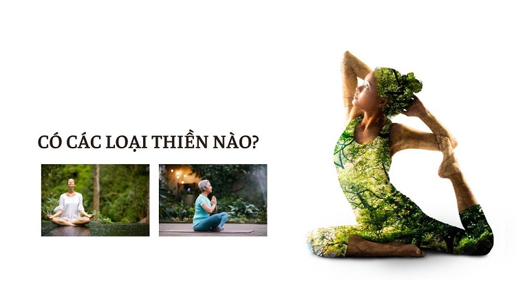 các loại thiền