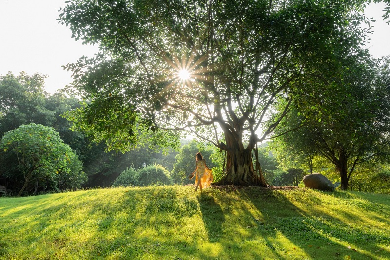 Cách xử lý khi cơ thể đang ở giai đoạn khủng hoảng chữa lành