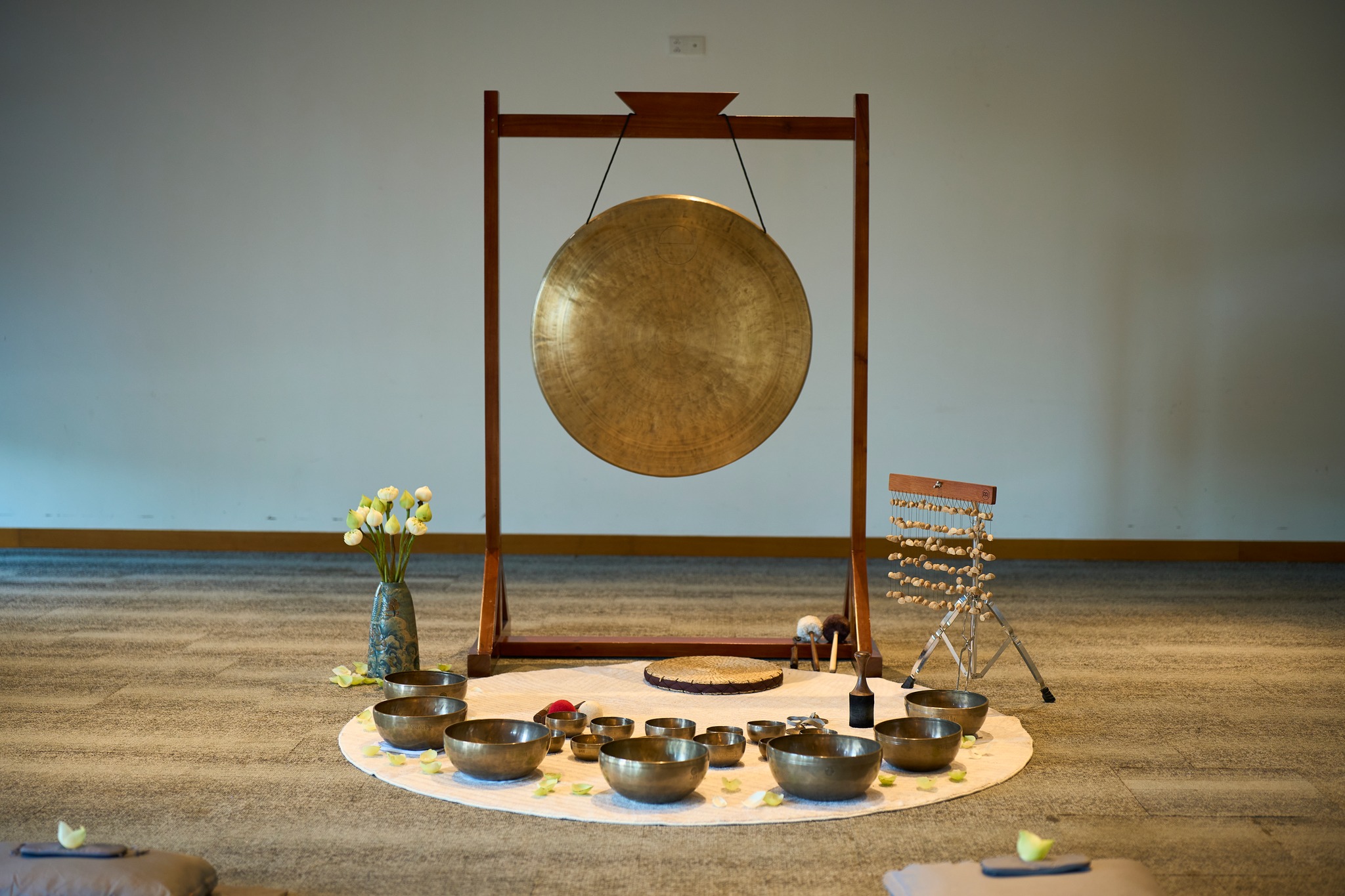 Shan Healing X Mitek