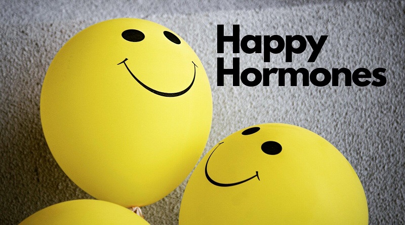 Hormone hạnh phúc là gì?