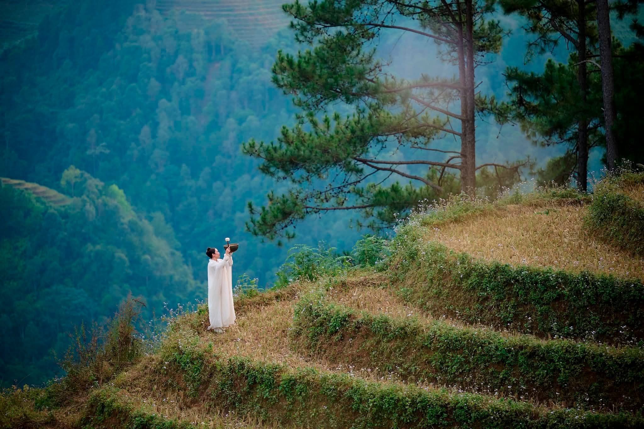 cham vao nhung tang xanh - shanhealing
